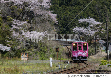 ``山口縣岩國市''西木川清溪線 ``山口縣岩國市''西木川清溪線 64024430