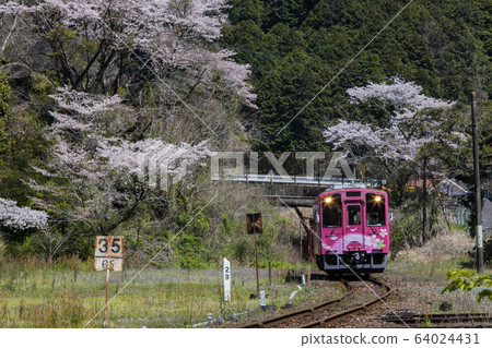 ``山口縣岩國市''西木川清溪線 ``山口縣岩國市''西木川清溪線 64024431