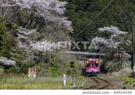 ``山口縣岩國市''西木川清溪線 64024439