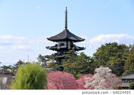 興福寺 64024485