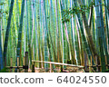 國光北國寺的竹叢 64024550