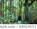 鎌倉北國寺的風景 64024551