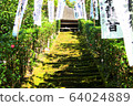 鎌倉的“杉本寺”風景 64024889
