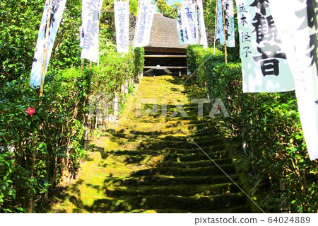鎌倉的“杉本寺”風景 鎌倉的“杉本寺”風景 64024889