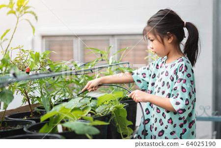 Little asian woman girl watering the plant in pot Little asian woman girl watering the plant in pot 64025190