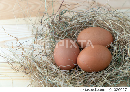 Fresh brown chicken eggs in hay nest on blue Fresh brown chicken eggs in hay nest on blue 64026627