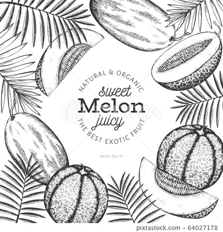 Whole melon and a pieces of melon design template. Whole melon and a pieces of melon design template. 64027178