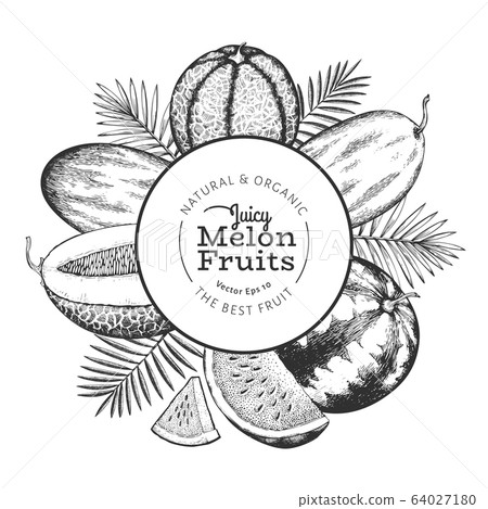 Melons and watermelons with tropical leaves design 64027180