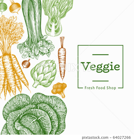 Hand drawn sketch vegetables design. Organic fresh 64027266