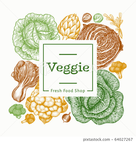Hand drawn sketch vegetables design. Organic fresh 64027267