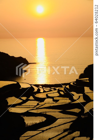 梯田在夕陽下閃耀 64028212