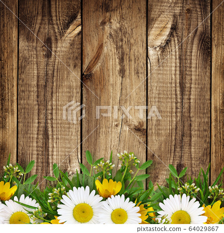 Summer wild flowers edge 64029867