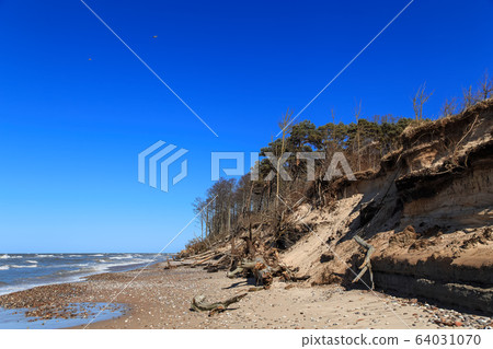 Baltic Sea coast after a storm with fallen trees 64031070