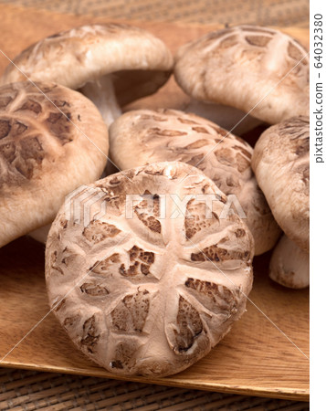 Shiitake mushroom raw donko Shiitake mushroom raw donko 64032380