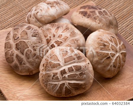 香菇生donko 香菇生donko 64032384