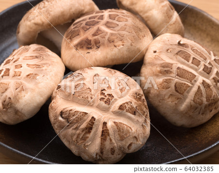 Shiitake mushroom raw donko 64032385