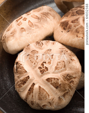 Shiitake mushroom raw donko 64032388