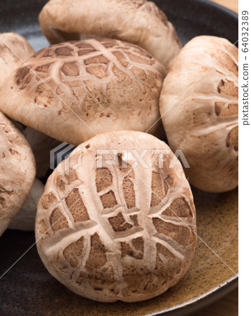 Shiitake mushroom raw donko 64032389