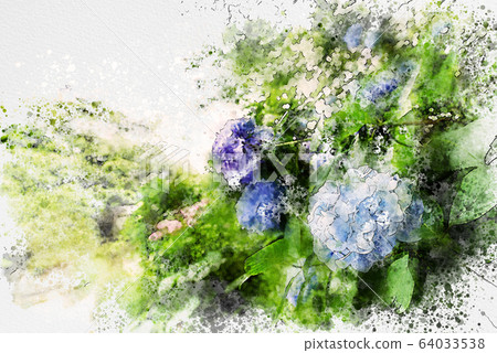 繡球 64033538