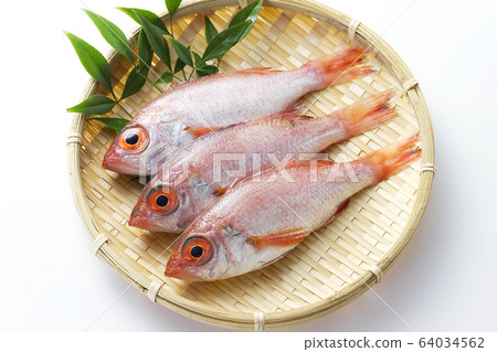 喉嚨9 喉嚨9 64034562