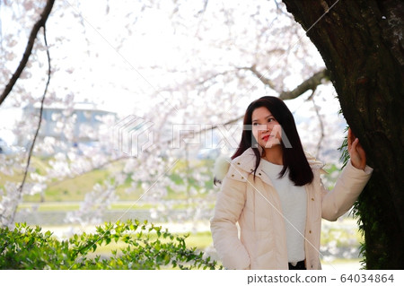 Cherry blossoms in Korakuen 64034864