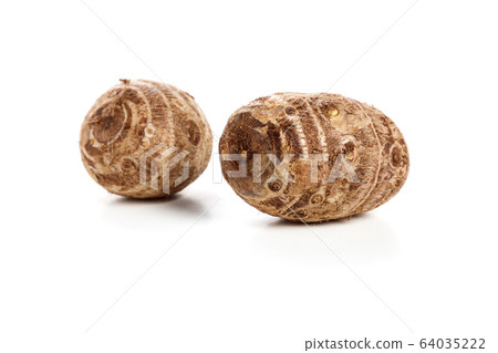 Taroes on a white background 64035222