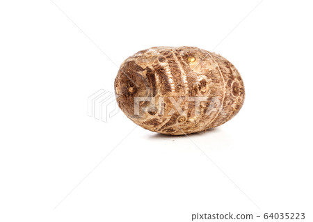 Taroes on a white background Taroes on a white background 64035223