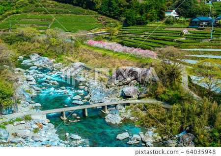新淀河,沉降橋和茶園 新淀河,沉降橋和茶園 64035948