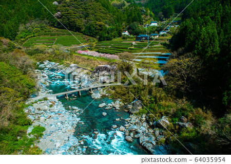 Niyodo river, subsidence bridge and tea plantation Niyodo river, subsidence bridge and tea plantation 64035954