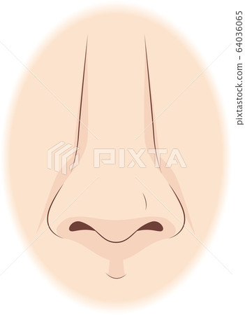 鼻子 鼻子 64036065
