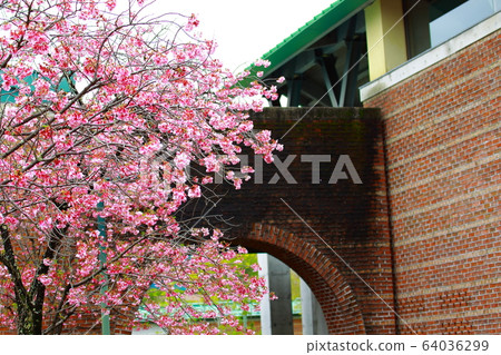 高知工業大學 高知工業大學 64036299