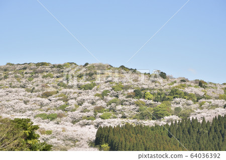 花田公園 64036392