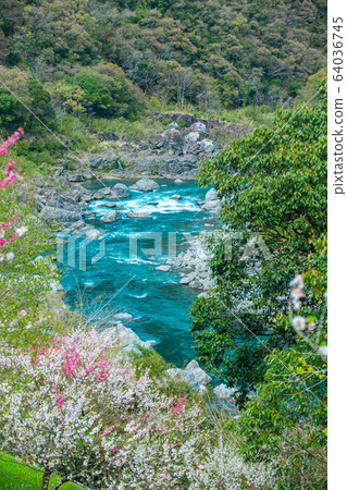 花見和二戶河 64036745