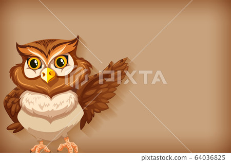 Background template with plain color and brown owl Background template with plain color and brown owl 64036825