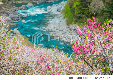花和二淀河 64036947