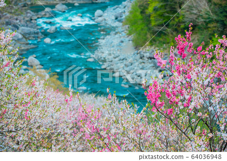 花和二淀河 64036948