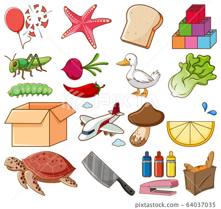 Large set of different food and other items on 64037035