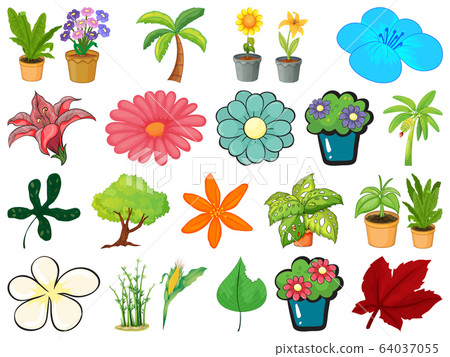Large set of different gardening objects on white Large set of different gardening objects on white 64037055