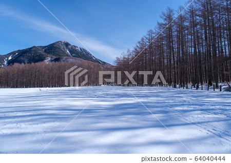 在牧場的雪景 64040444