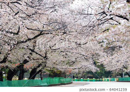 Emergency declaration 64041239