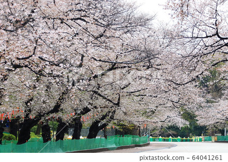 Emergency declaration 64041261