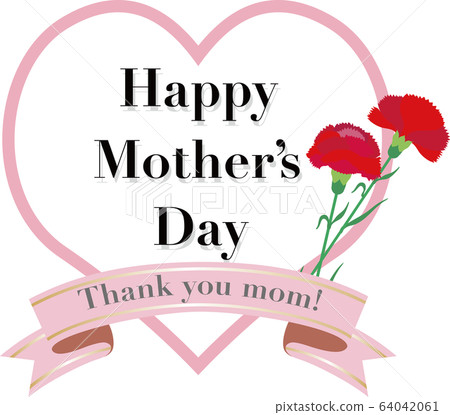 Mothers day carnation gift message 64042061