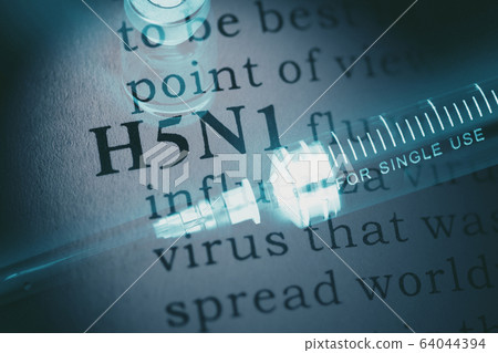 word H5N1 flu and syringe word H5N1 flu and syringe 64044394