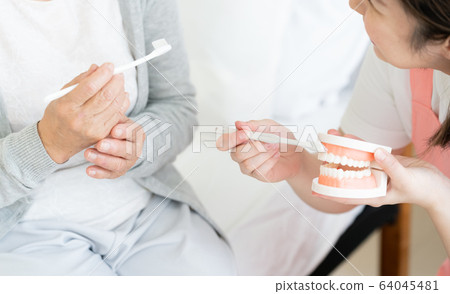 Female Senior Dental Hygienist 64045481