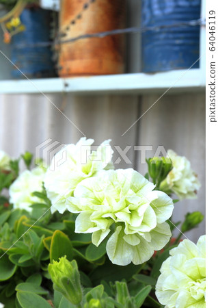 gardening gardening 64046119