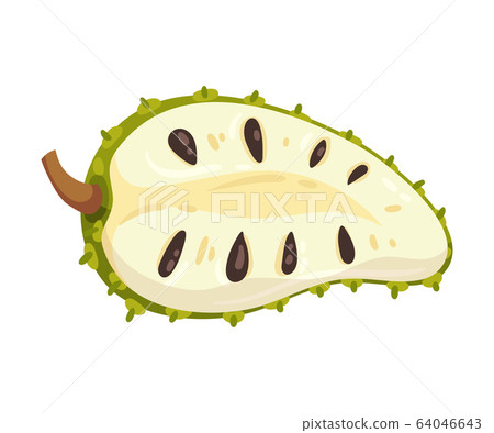 Halved Soursop Fruit Or Guanabana With Dark Stock Illustration