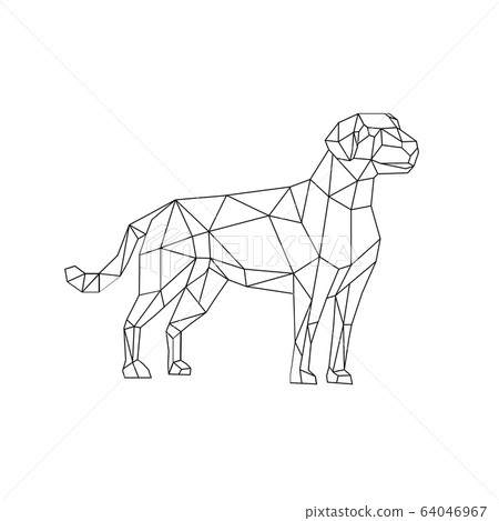 Labrador Wireframe Low Polygon Line Art 64046967