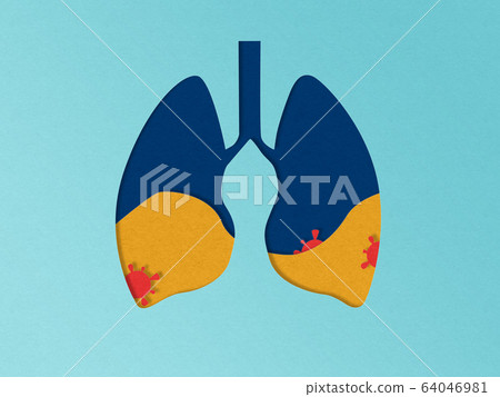 Illustration of papercut lungs with virus. Pneumonia concept. Covid-19 coronavirus pandemic problem 64046981