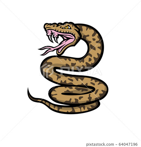 Aggressive Okinawa Habu Snake Mascot 64047196