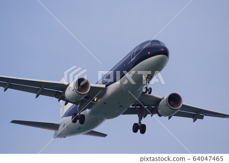 Passenger plane landing at Haneda Airport 64047465